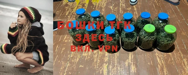 МДПВ Арсеньев